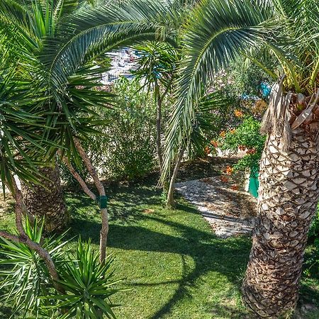 Olive Grove Apts Lithakia  Exterior foto