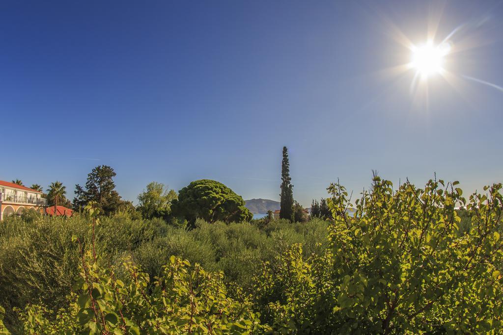 Olive Grove Apts Lithakia  Habitación foto
